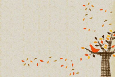 Tập huấn chuyển giao cổng thông tin điện tử